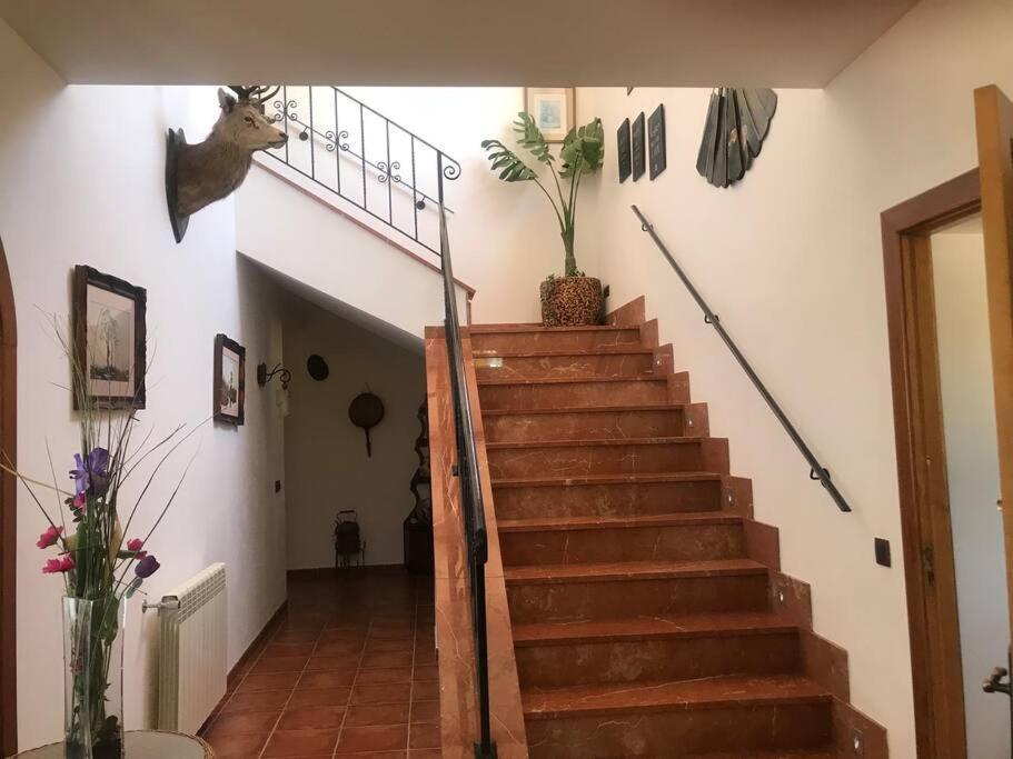 Villa Miramar Sant Llorenc Des Cardassar Esterno foto
